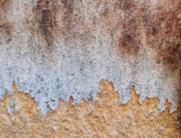 close up photo of dirty wood with paint peeling off