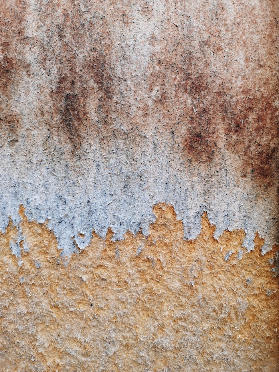 close up photo of dirty wood with paint peeling off