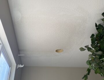 Dining room ceiling repair After