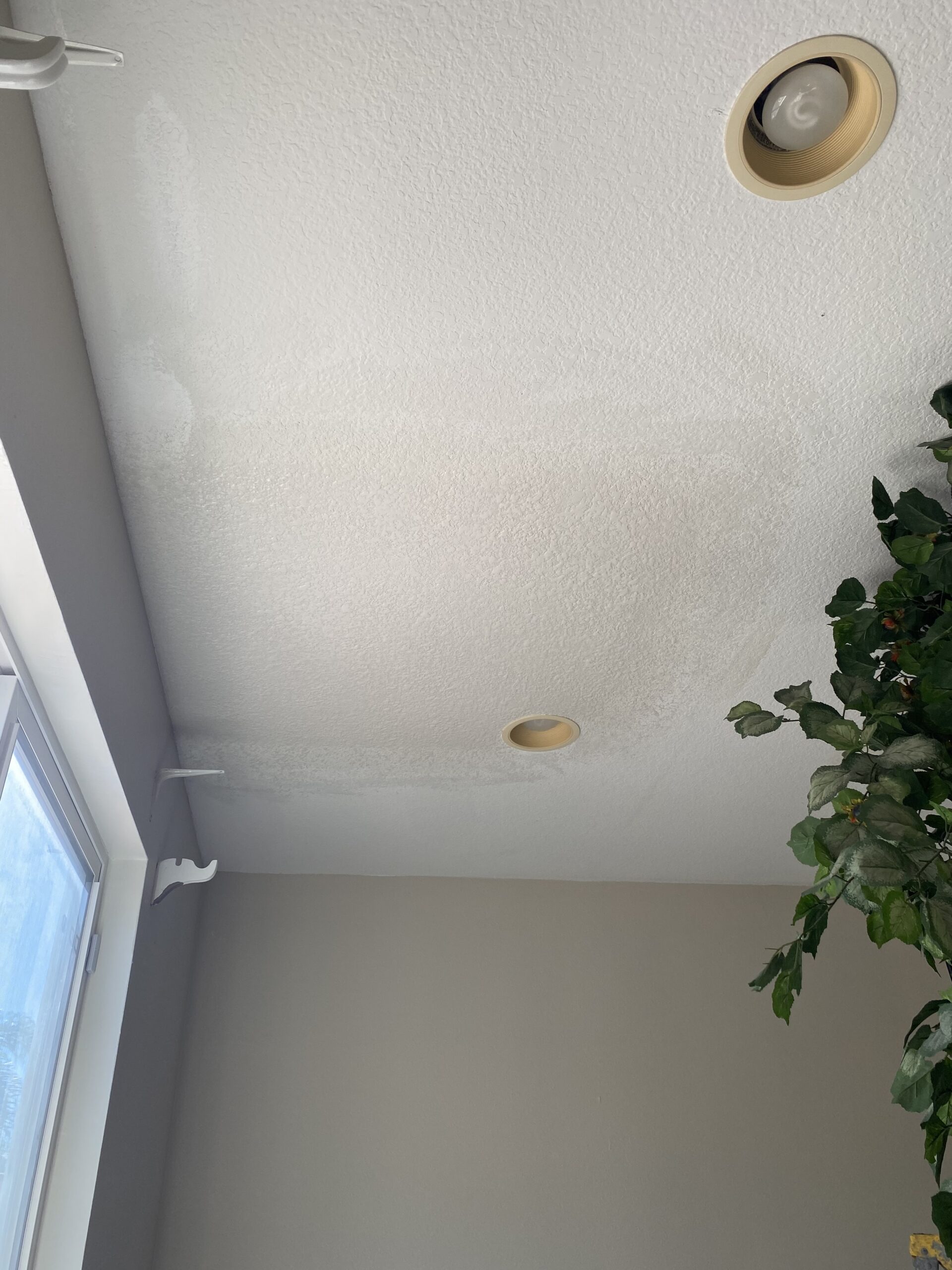 Dining room ceiling repair After