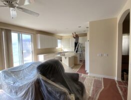 Kitchen repaint before