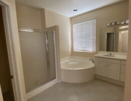 Master bathroom repaint before